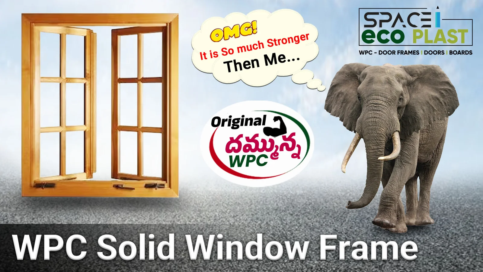 WPC Premium Doors